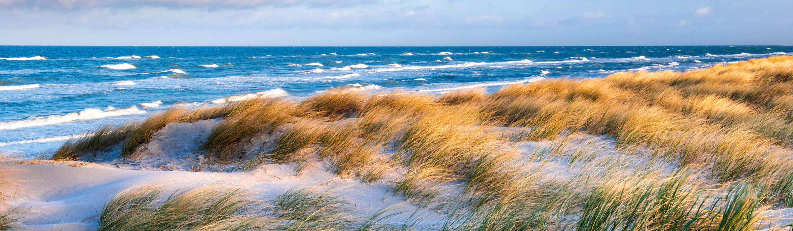 Stormy Baltic Sea, Beach with Coastal Dunes, Darss Peninsula, Germany